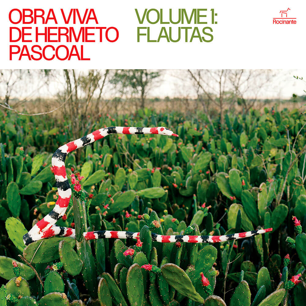 Frente do disco de vinil